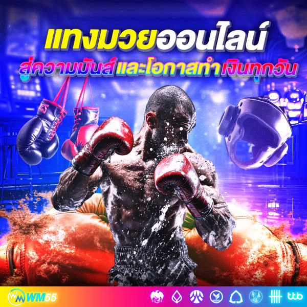 แทงมวยออนไลน์ คู่มือฉบับสมบูรณ์สำหรับมือใหม่และมือเก๋า สู่ความมันส์และโอกาสทำเงินทุกวัน